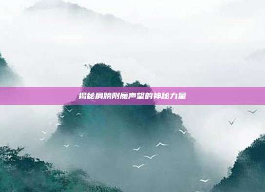 揭秘肩膀附魔声望的神秘力量