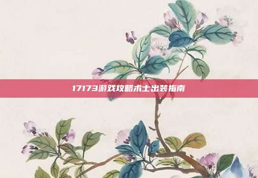 17173游戏攻略术士出装指南