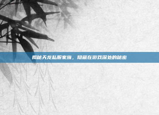 揭秘天龙私服家族,隐藏在游戏深处的秘密
