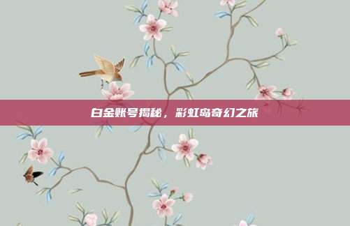 白金账号揭秘,彩虹岛奇幻之旅