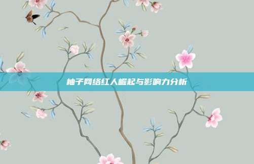 柚子网络红人崛起与影响力分析