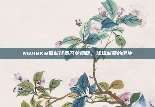 NBA2K9最新球员名单揭晓,球场新星的诞生