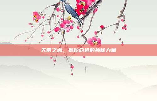 天帝之点,揭秘命运的神秘力量