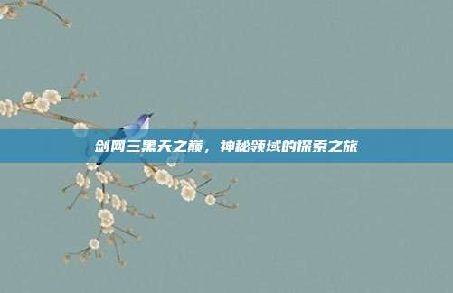 剑网三黑天之巅,神秘领域的探索之旅