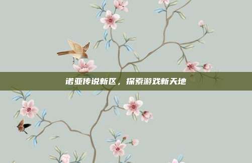诺亚传说新区,探索游戏新天地