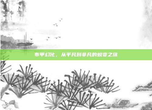 布甲幻化,从平凡到非凡的蜕变之旅