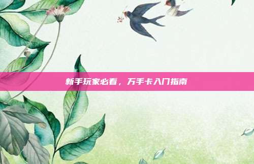 新手玩家必看,万手卡入门指南