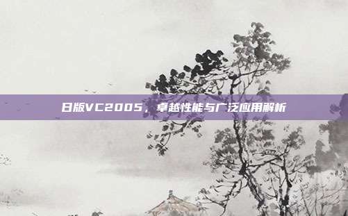 日版VC2005,卓越性能与广泛应用解析
