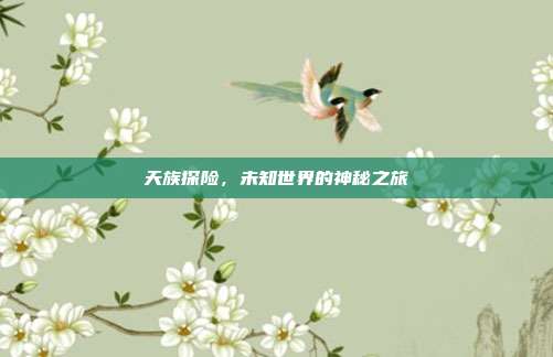 天族探险,未知世界的神秘之旅