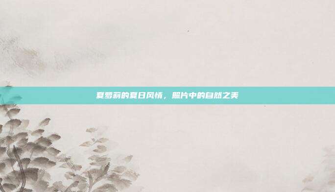 夏萝莉的夏日风情,照片中的自然之美