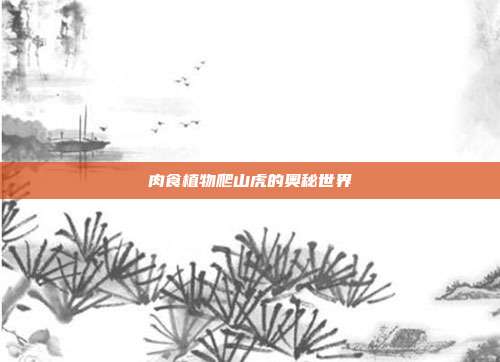 肉食植物爬山虎的奥秘世界