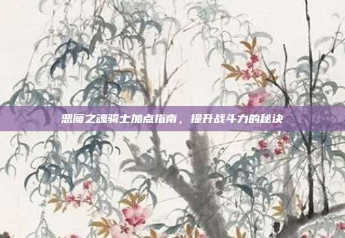 恶魔之魂骑士加点指南,提升战斗力的秘诀