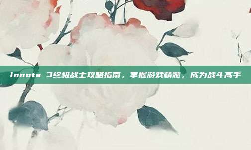 Innota 3终极战士攻略指南,掌握游戏精髓,成为战斗高手
