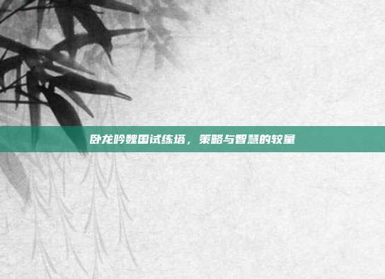 卧龙吟魏国试练塔,策略与智慧的较量