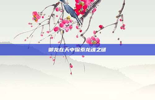 御龙在天中探索龙魂之谜