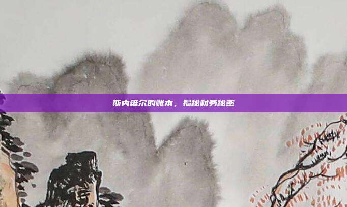 斯内维尔的账本,揭秘财务秘密