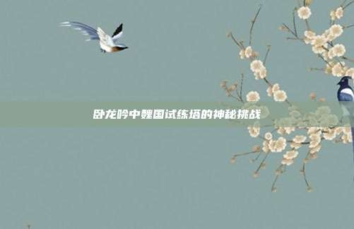 卧龙吟中魏国试练塔的神秘挑战