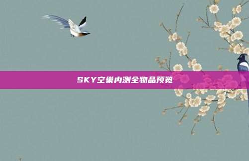 SKY空巢内测全物品预览