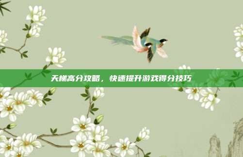 天梯高分攻略,快速提升游戏得分技巧