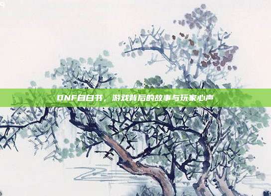 DNF自白书,游戏背后的故事与玩家心声