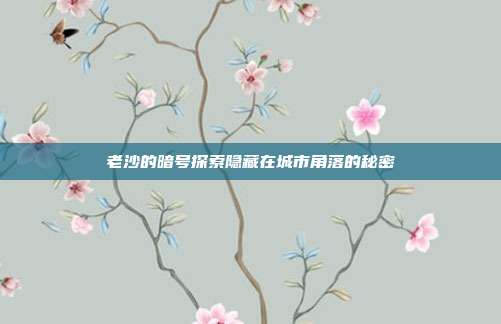 老沙的暗号探索隐藏在城市角落的秘密