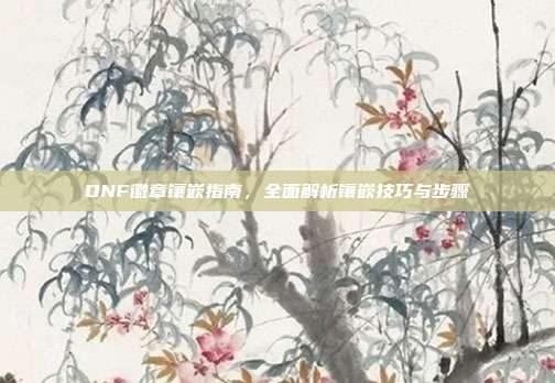 DNF徽章镶嵌指南,全面解析镶嵌技巧与步骤