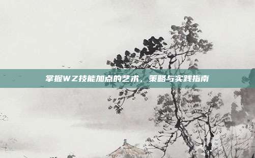 掌握WZ技能加点的艺术,策略与实践指南