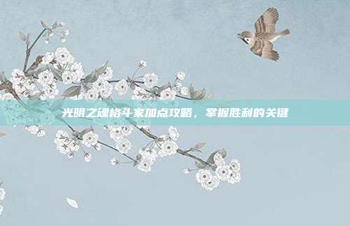 光明之魂格斗家加点攻略,掌握胜利的关键