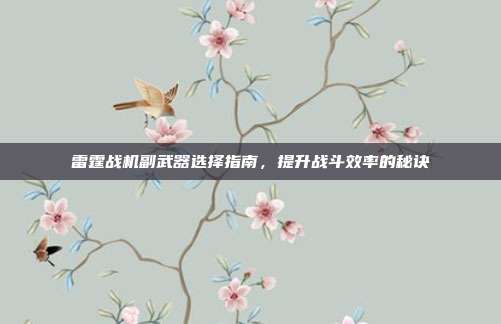 雷霆战机副武器选择指南,提升战斗效率的秘诀