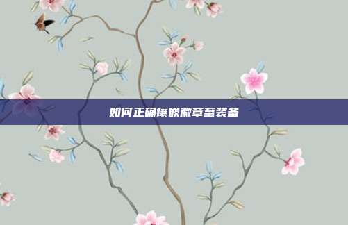 如何正确镶嵌徽章至装备