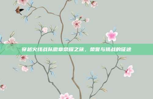 穿越火线战队徽章荣耀之旅,荣誉与挑战的征途