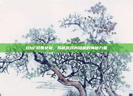 DNF风暴女皇,揭秘游戏内隐藏的神秘力量