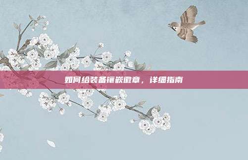 如何给装备镶嵌徽章,详细指南