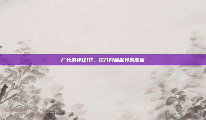 厂长的神秘ID,揭开网络世界的谜团