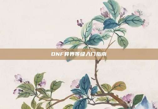 DNF异界等级入门指南