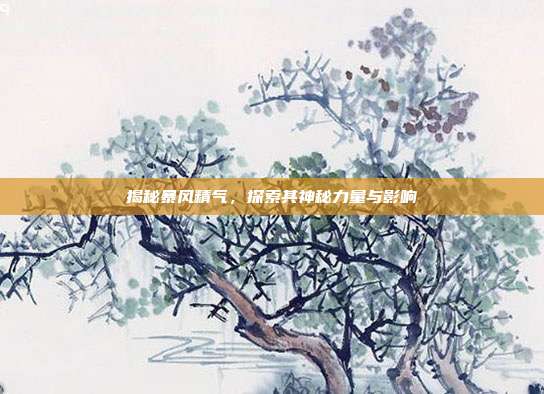 揭秘暴风精气,探索其神秘力量与影响