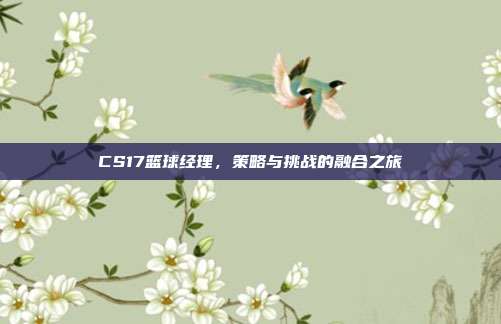 CS17篮球经理,策略与挑战的融合之旅