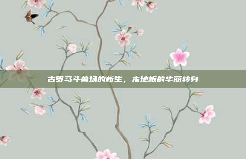 古罗马斗兽场的新生,木地板的华丽转身