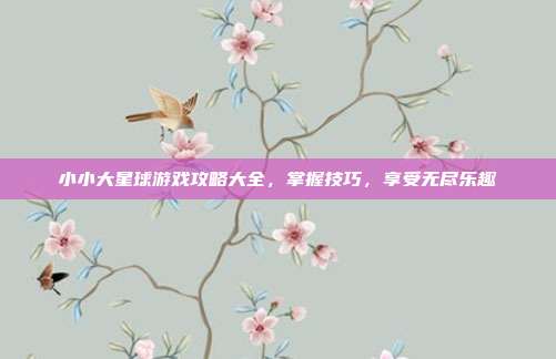 小小大星球游戏攻略大全,掌握技巧,享受无尽乐趣