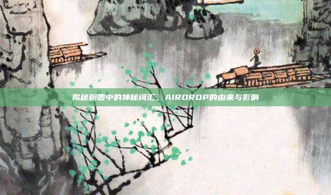 揭秘粉圈中的神秘词汇,AIRDROP的由来与影响