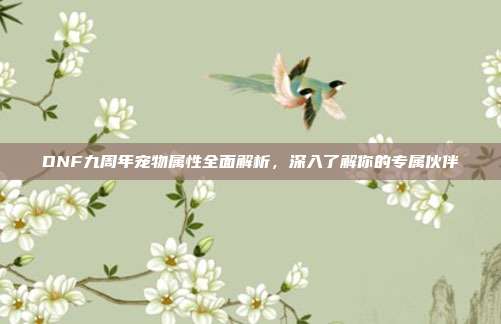 DNF九周年宠物属性全面解析,深入了解你的专属伙伴