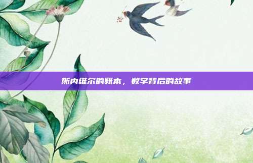 斯内维尔的账本,数字背后的故事