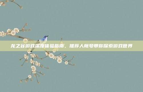 龙之谷游戏深度体验指南,推荐人帐号带你探索游戏世界