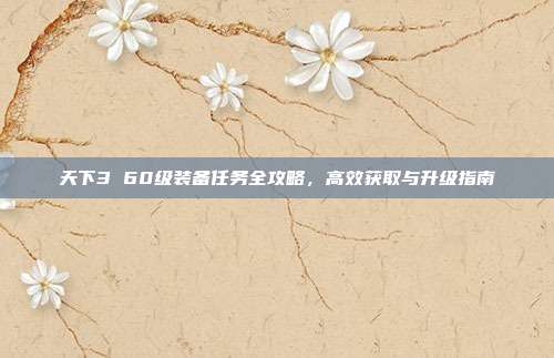 天下3 60级装备任务全攻略,高效获取与升级指南