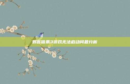 刺客信条3游戏无法启动问题分析