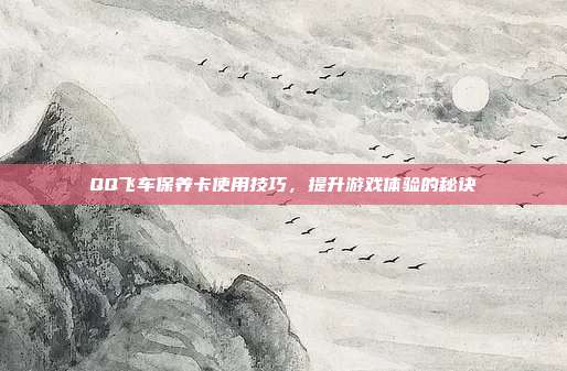 QQ飞车保养卡使用技巧,提升游戏体验的秘诀