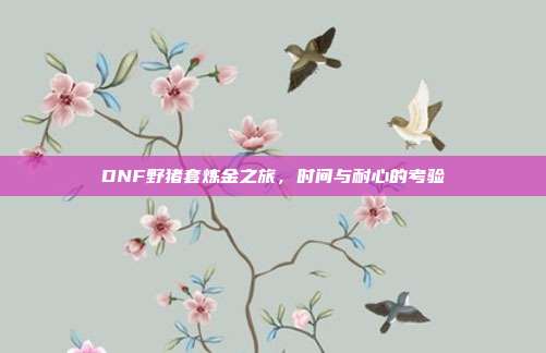 DNF野猪套炼金之旅,时间与耐心的考验