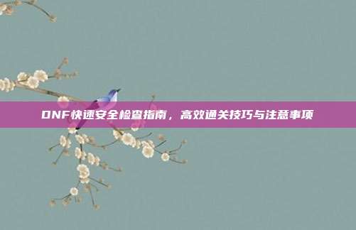 DNF快速安全检查指南,高效通关技巧与注意事项