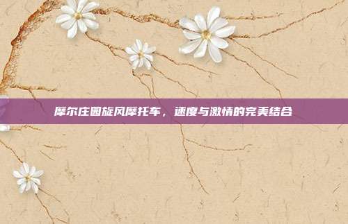 摩尔庄园旋风摩托车,速度与激情的完美结合