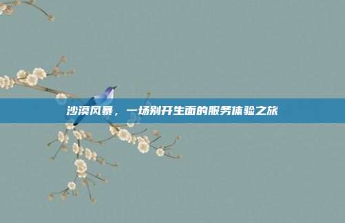 沙漠风暴,一场别开生面的服务体验之旅
